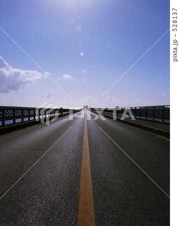 真っ直ぐにススメ 528137