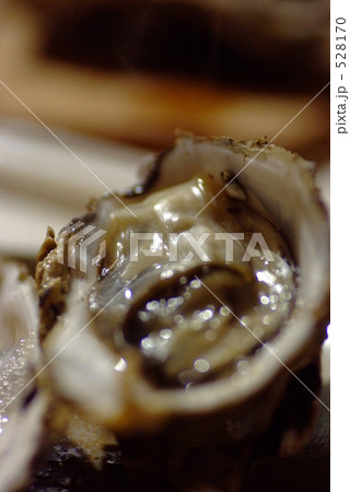 網焼きしたカキ 網焼きしたカキ 528170