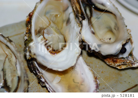 網焼きしたカキ 網焼きしたカキ 528181