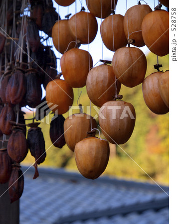 干し柿 528758
