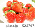 いちごちゃん 528797