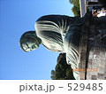鎌倉の大仏 529485