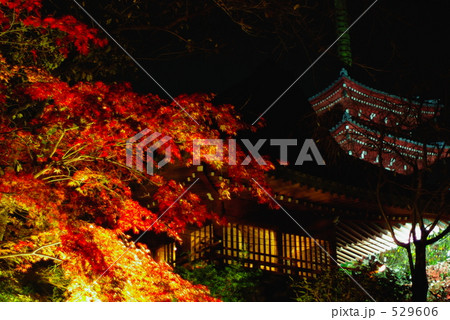 鐘楼の紅葉 529606