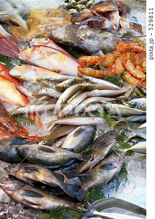 魚屋の店先に並ぶ鮮魚類 529811