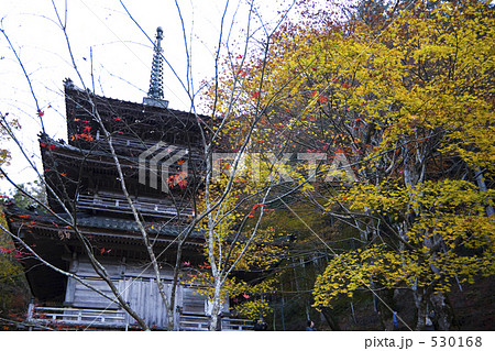 紅葉あと少し 530168