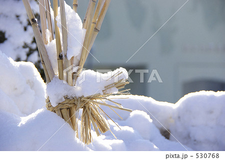 旭山動物園内の雪景色 530768