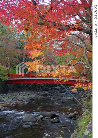 紅葉の桂橋 紅葉の桂橋 532601