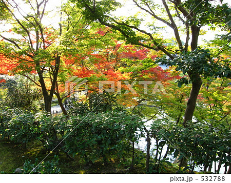 少し上から☆ 532788