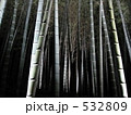 竹藪☆ 532809
