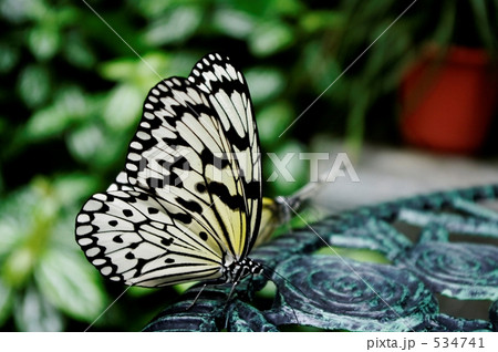 休憩 休憩 534741