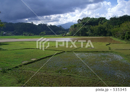 インドネシアの田園風景 535345