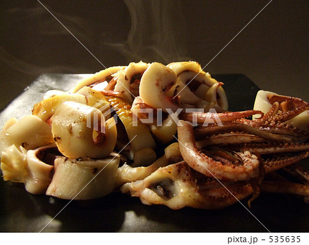 焼きたてイカの一夜干し　Ｂ 535635