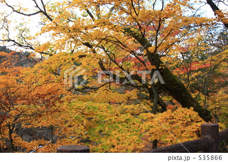 紅葉のいろは坂５ 535866