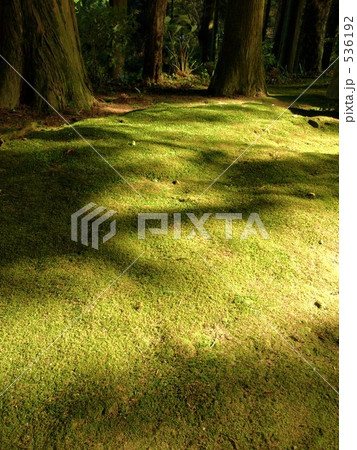 秋の枕木山 秋の枕木山 536192