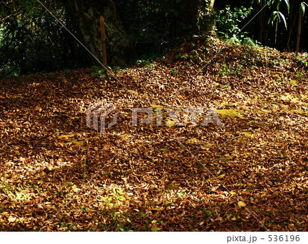 秋の枕木山 536196