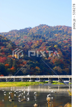 京都・嵐山　渡月橋の秋 536278