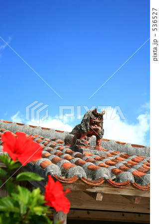 ハイビスカスとシーサー 536527