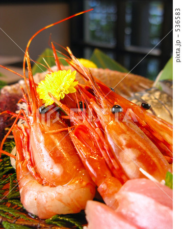 ボタンエビ ボタンエビ 536583