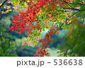 色彩 536638