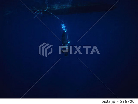 舳倉島の海女の潜水漁 536706