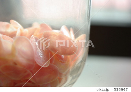 瓶の中の桜貝 536947