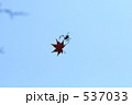 空中ダンス 537033
