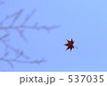 木枯らしに舞う 537035