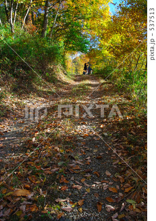 秋を歩く里山の小径 537513
