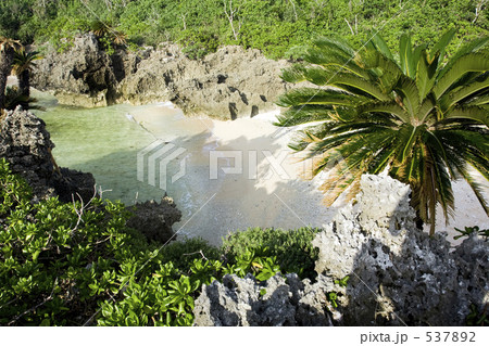 南国の楽園 南国の楽園 537892