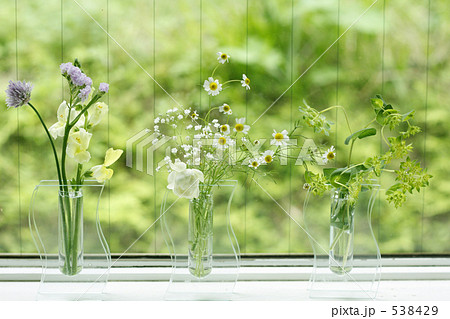 春の花達 538429
