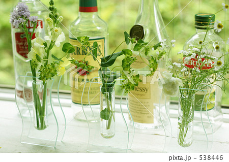 春の花達 春の花達 538446