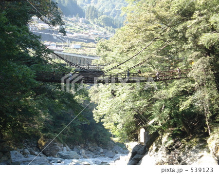 祖谷のかずら橋 539123