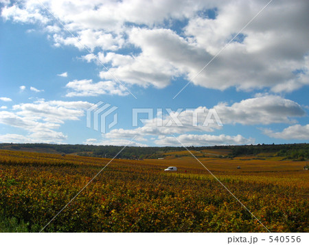 田舎・フランス 田舎・フランス 540556