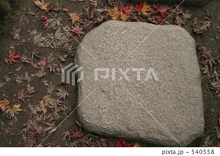 飛び石と枯れ紅葉 飛び石と枯れ紅葉 540558