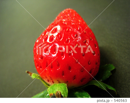 イチゴ イチゴ 540563