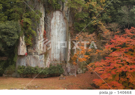 大野寺 紅葉 540668