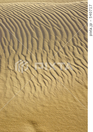 砂丘の風紋 540717