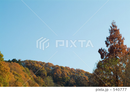 里山の紅葉 540777