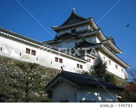 秋の和歌山城 秋の和歌山城 540781