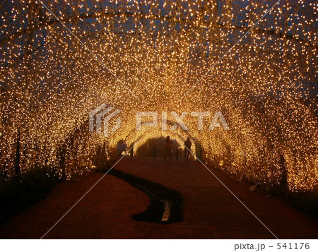 イルミネーション イルミネーション 541176