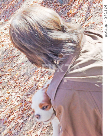 犬を抱く女性 541324