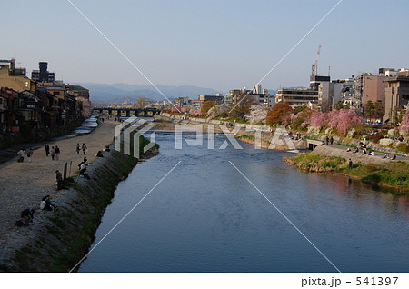 京都四条大橋からの春の風景 541397