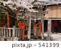 京都祇園の辰巳大明神と桜 541399