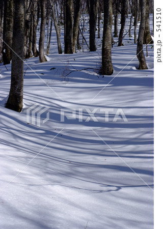 雪ストリーム 雪ストリーム 541510