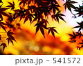紅葉の季節０３ 541572