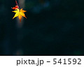 紅葉の季節０１ 541592