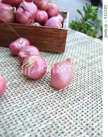 エシャロット 541595