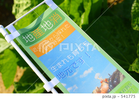 地産地消　自給率問題　イメージ　１０ 541775