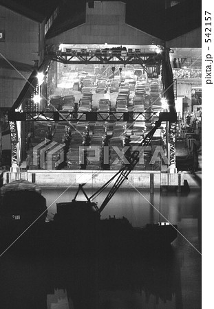 東京湾・辰巳 東京湾・辰巳 542157