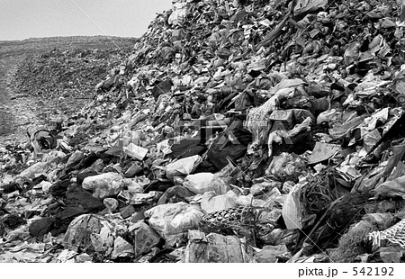 東京湾・新夢の島　昭和４８年 542192